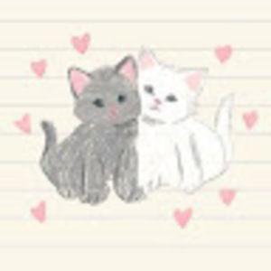 Meet your Posher, Anahi